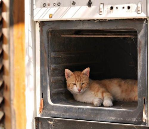 Шамотная плита своими руками. Изготавление муфельной печи своими руками