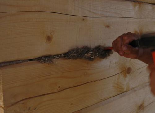 Ремонт бани своими руками. Капитальный и текущий ремонт бани