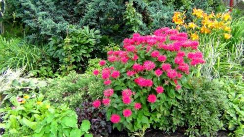 Автоклав из нержавейки своими руками. Самодельный автоклав для заготовки консервации – чертежи и пошаговая сборка